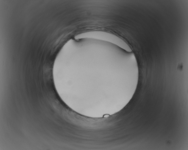 X0000115770035200912241759