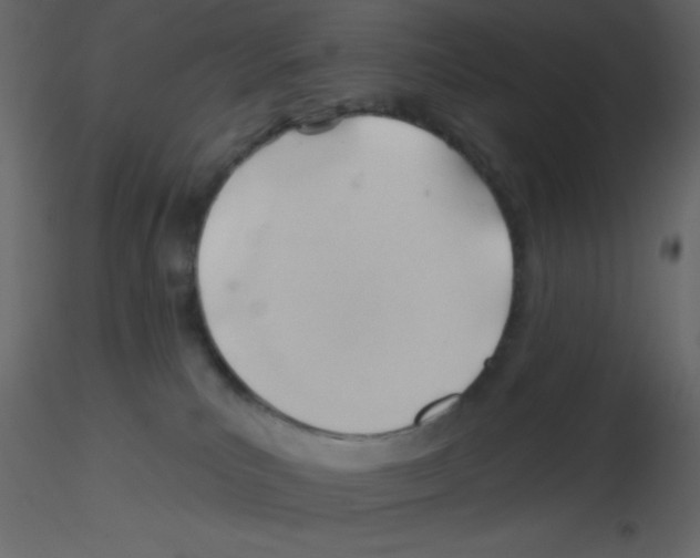 X0000115770039200912241759