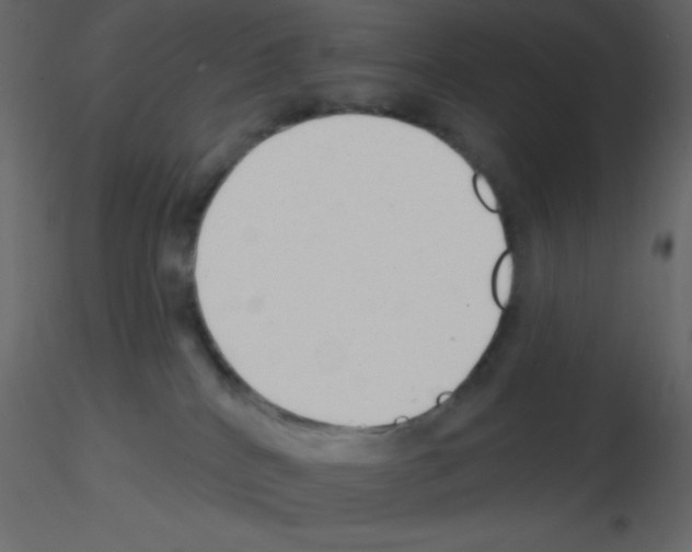 X0000115770040200912241759