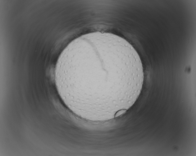 X0000115770042200912241759