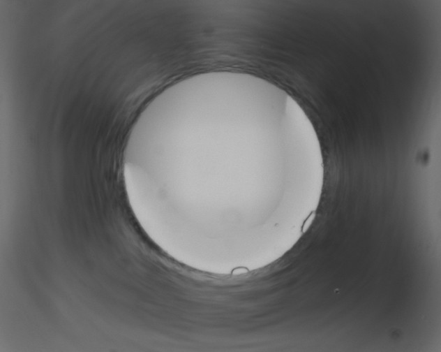 X0000115770043200912241759
