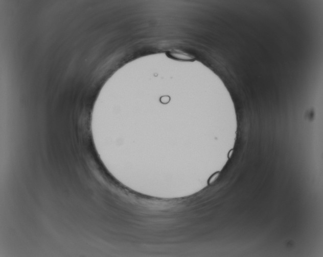 X0000115770044200912241759