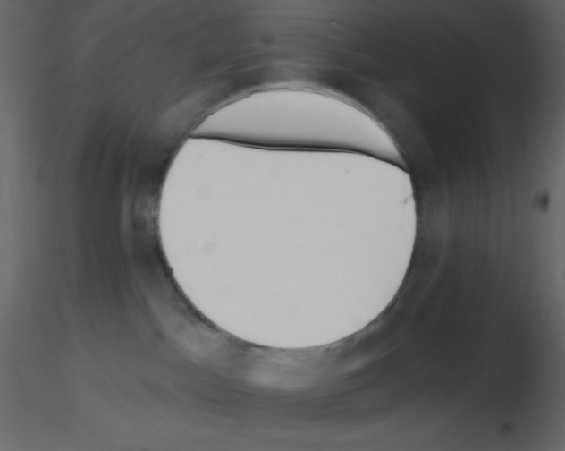 X0000115770045200912241759