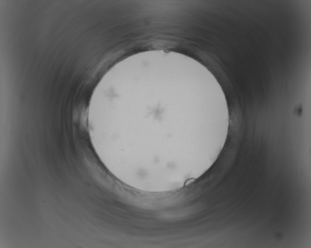 X0000115770046200912241759