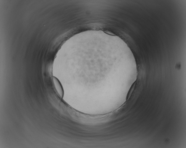 X0000115770047200912241759