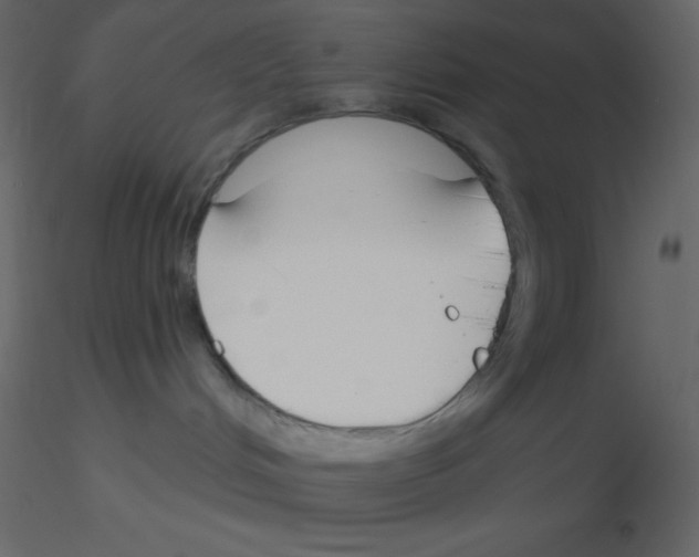 X0000115770048200912241759
