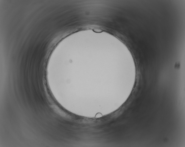 X0000115770049200912241758