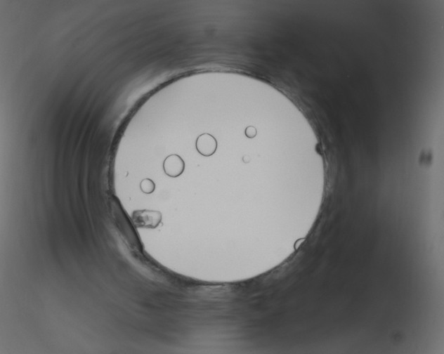 X0000115770050200912241758