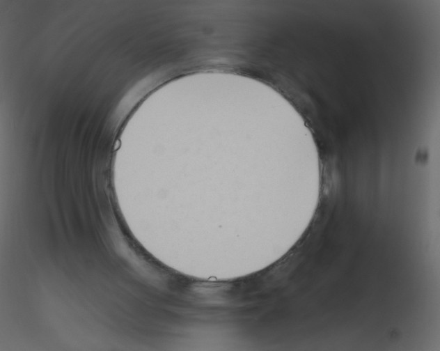 X0000115770051200912241758