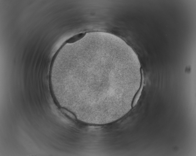 X0000115770052200912241758