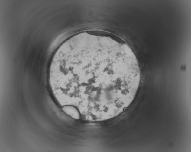 X0000115770053200912241758