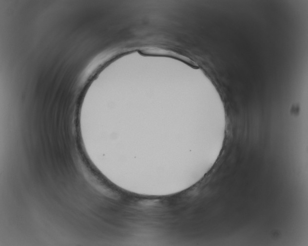 X0000115770054200912241758