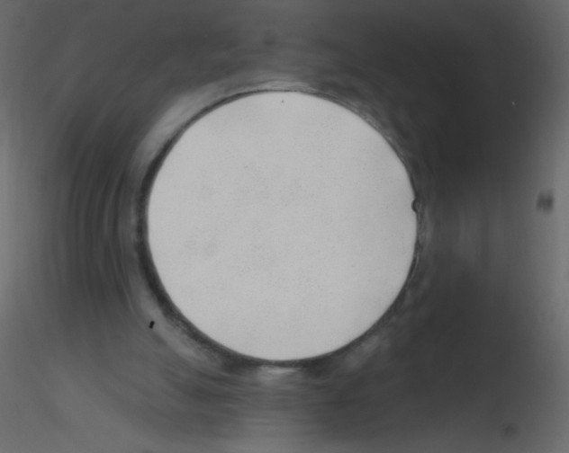 X0000115770055200912241758