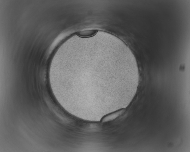 X0000115770056200912241758