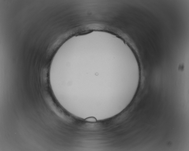 X0000115770057200912241758