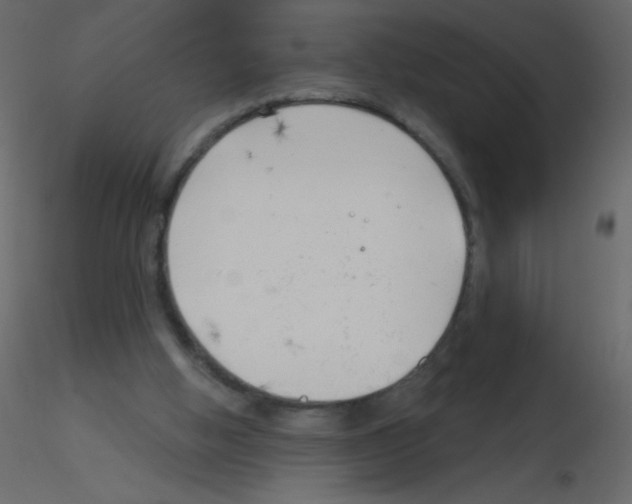 X0000115770058200912241758