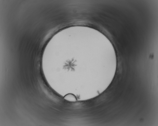 X0000115770059200912241758