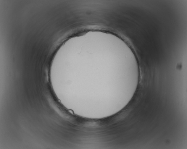 X0000115770061200912241758