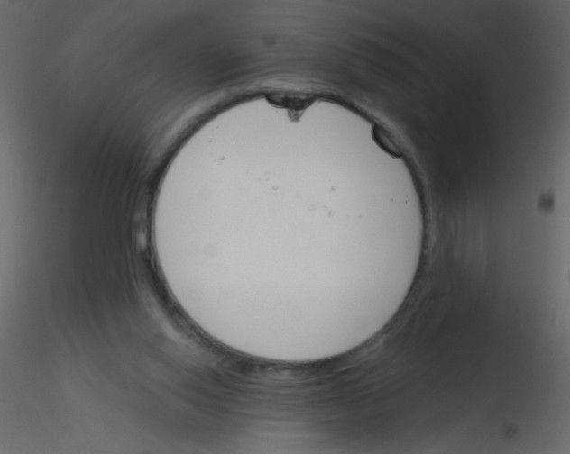 X0000115770062200912241758