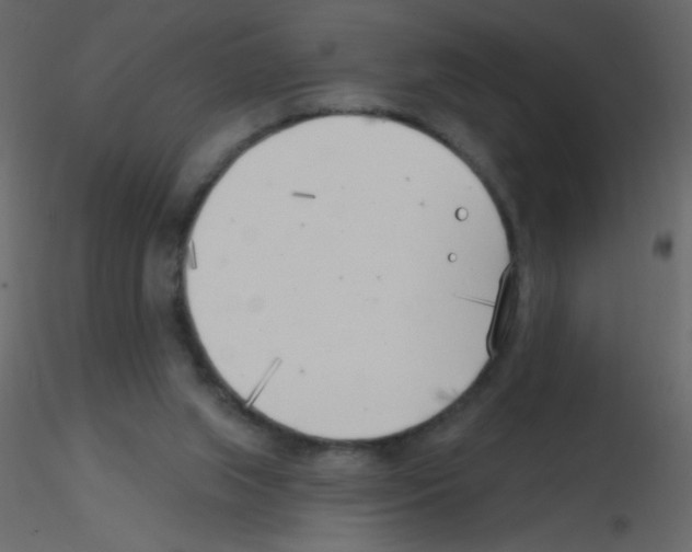 X0000115770063200912241758