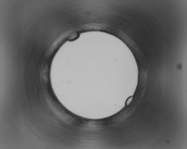 X0000115770064200912241758