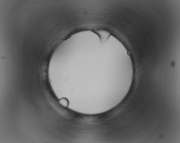 X0000115770065200912241758