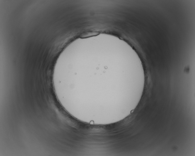 X0000115770066200912241758