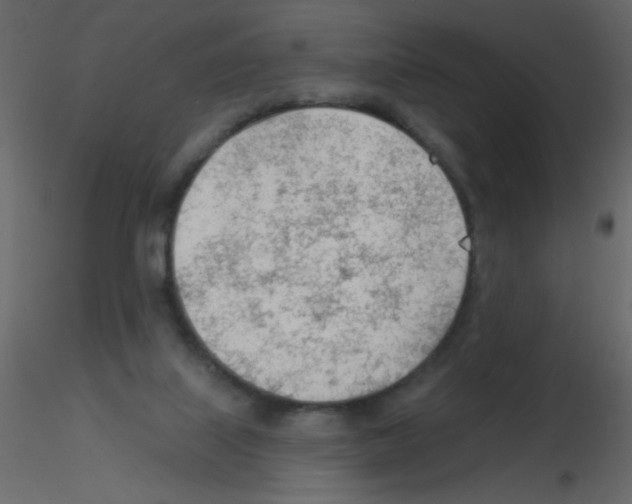 X0000115770067200912241758