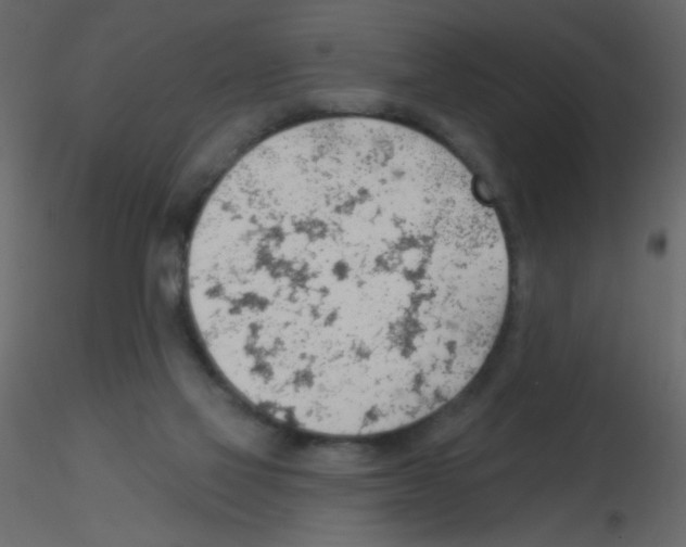 X0000115770069200912241758