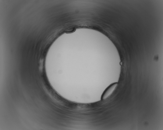 X0000115770070200912241758
