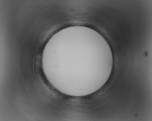 X0000115770071200912241758