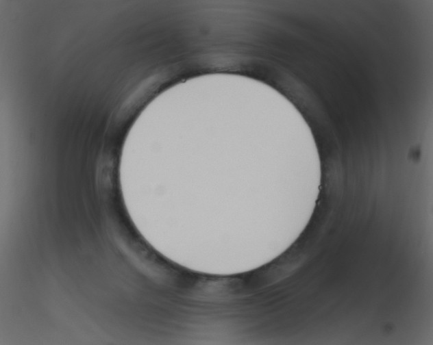 X0000115770072200912241758