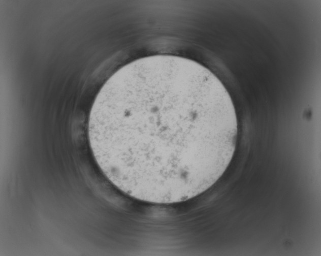 X0000115770073200912241758