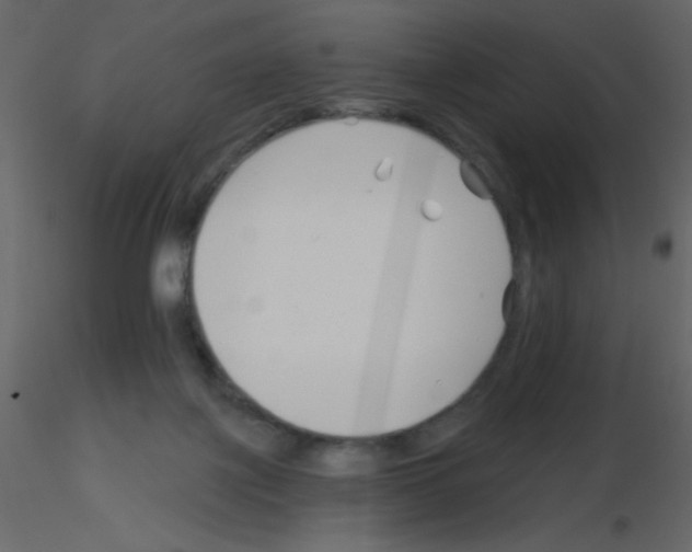 X0000115770075200912241758