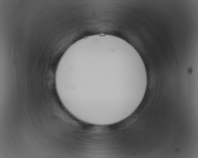 X0000115770077200912241758