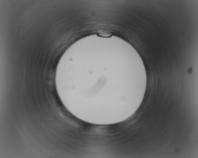 X0000115770078200912241758