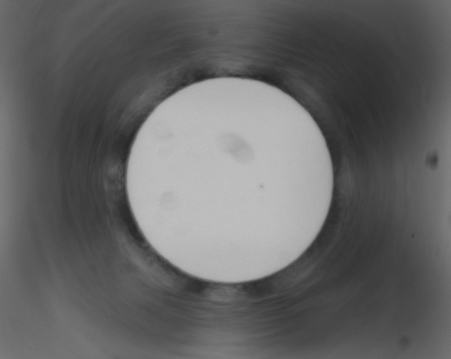 X0000115770079200912241758