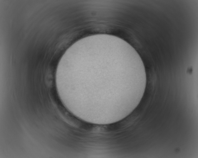 X0000115770080200912241758