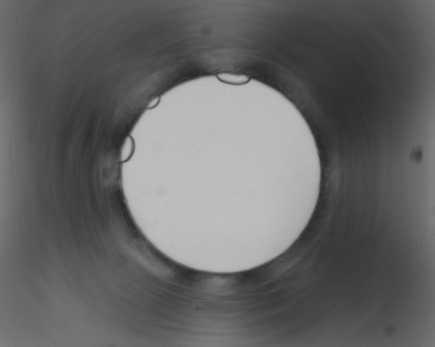 X0000115770081200912241759