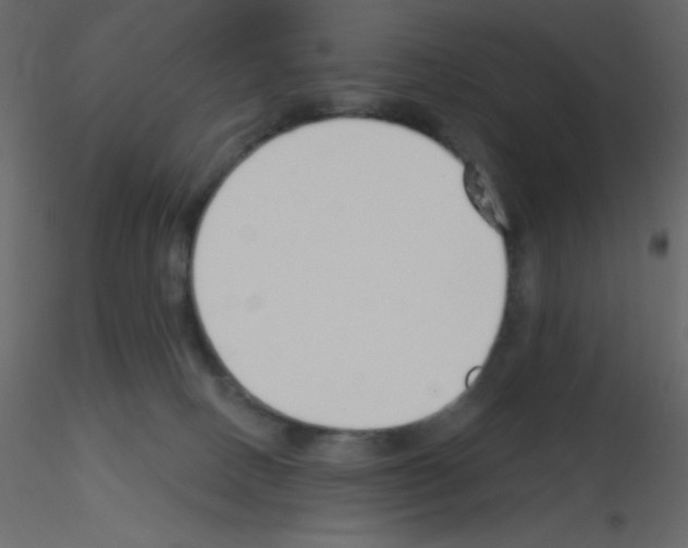 X0000115770082200912241759
