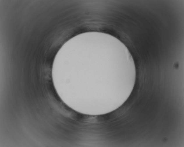 X0000115770083200912241759