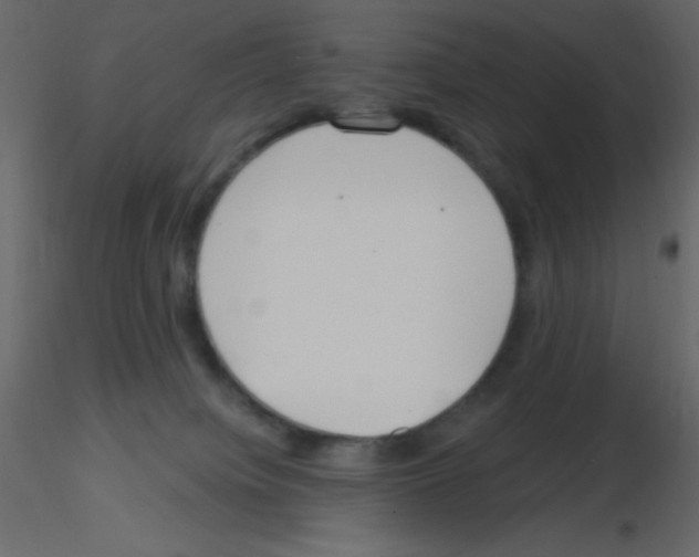 X0000115770084200912241759