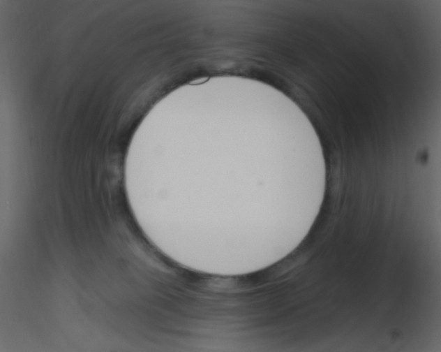 X0000115770085200912241759