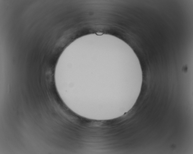 X0000115770086200912241759