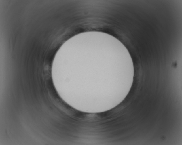 X0000115770087200912241759