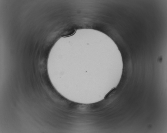 X0000115770088200912241759
