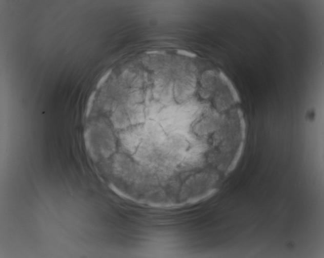 X0000115770089200912241759