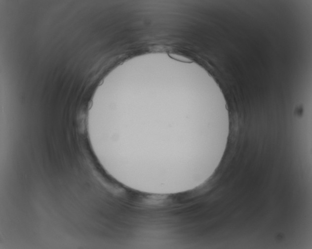 X0000115770090200912241759