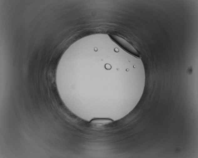 X0000115770091200912241759