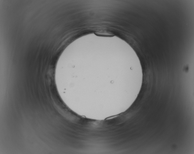 X0000115770092200912241759